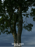 Ryonkt - Shade Tree